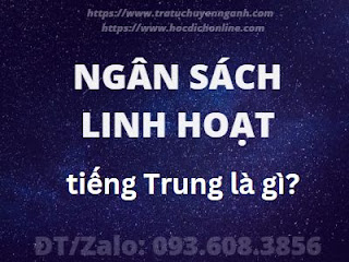 "Ngân sách linh hoạt" tiếng Trung là gì?