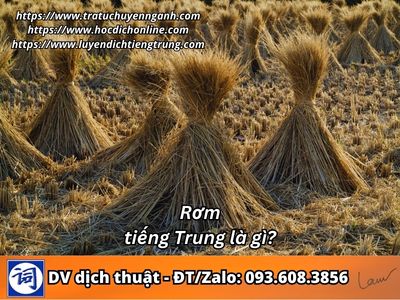 Rơm tiếng Trung là gì?