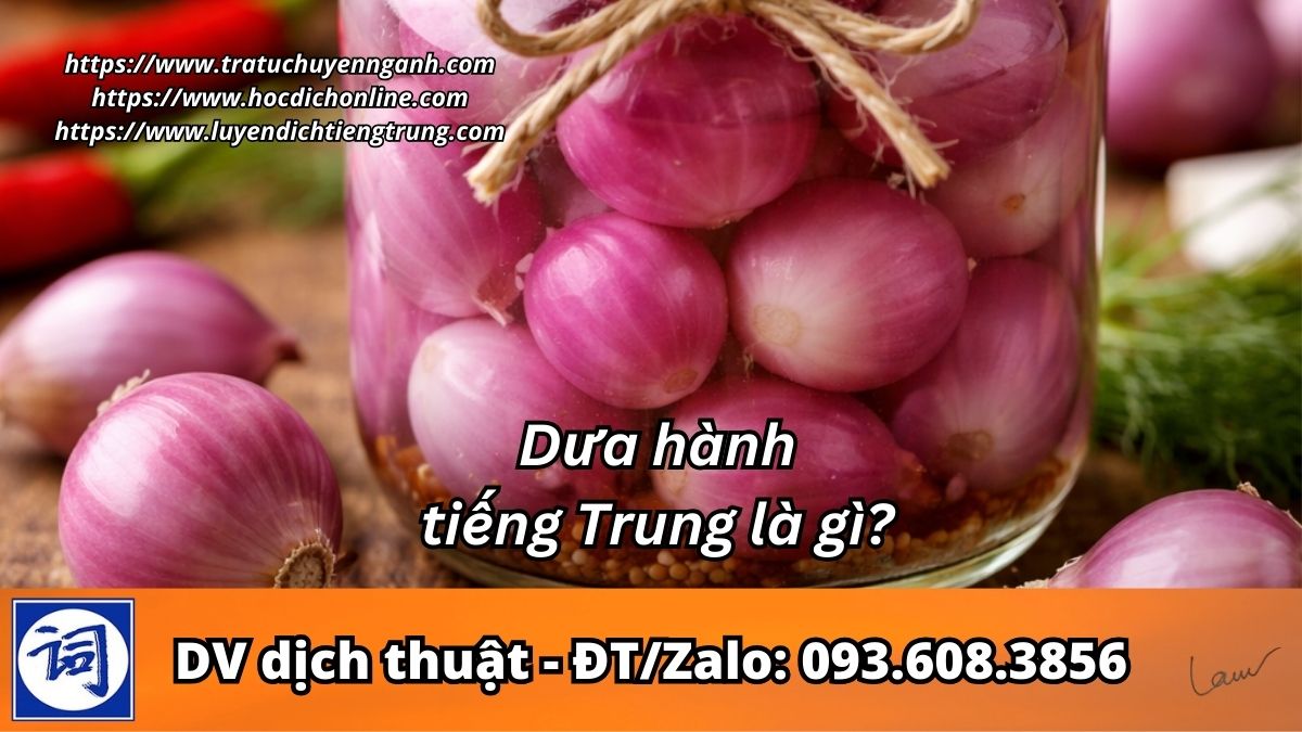 Dưa hành tiếng Trung là gì? 4 Dưa hành tiếng Trung là gì?