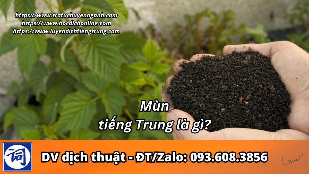 Mùn tiếng Trung là gì?