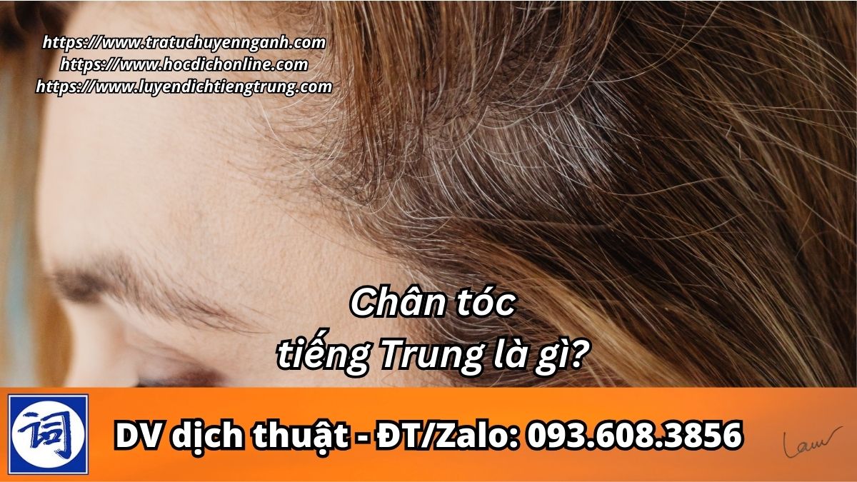 Chân tóc tiếng Trung là gì?