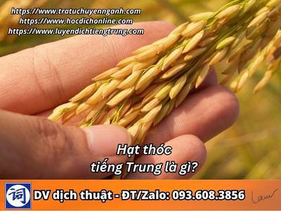 Hạt thóc tiếng Trung là gì?
