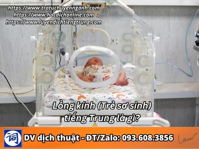 Lồng kính tiếng Trung là gì?