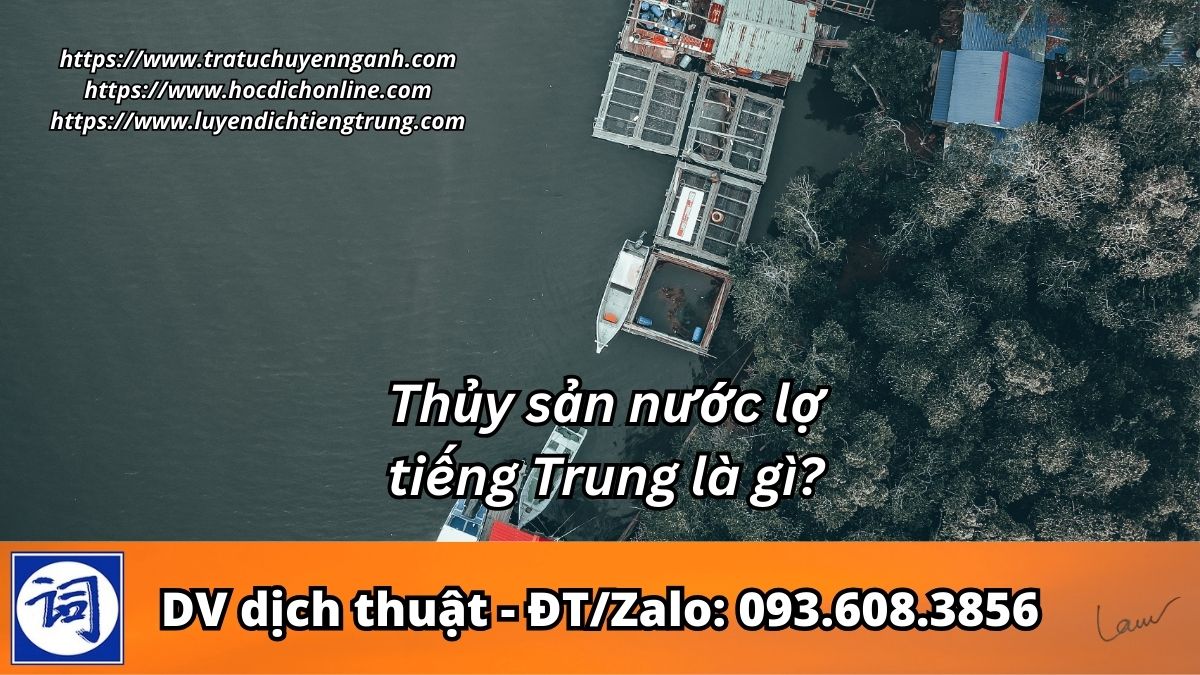 Thủy sản nước lợ tiếng Trung là gì?