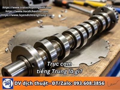 Trục cam tiếng Trung là gì? 1 Trục cam tiếng Trung là gì?