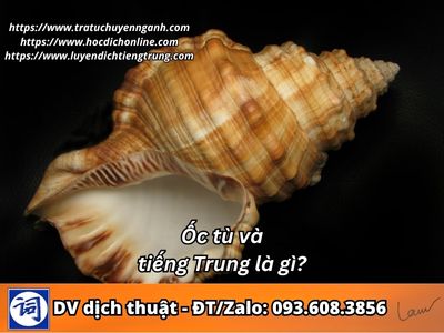 Ốc tù và tiếng Trung là gì?