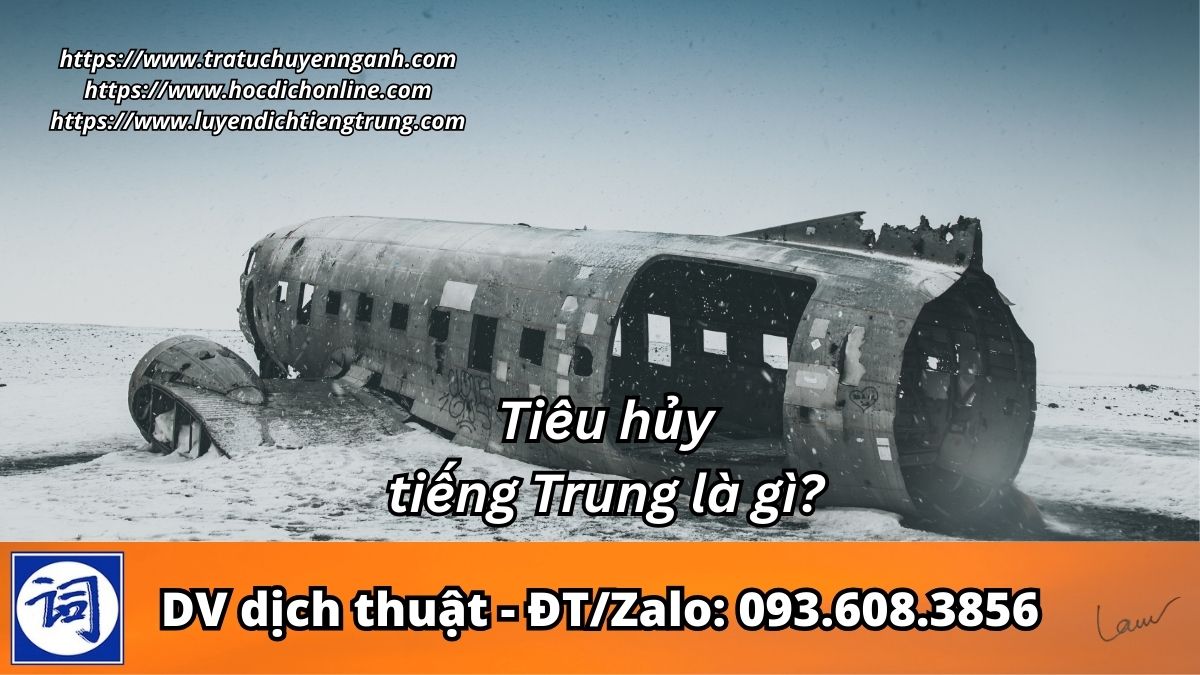 Tiêu hủy tiếng Trung là gì?