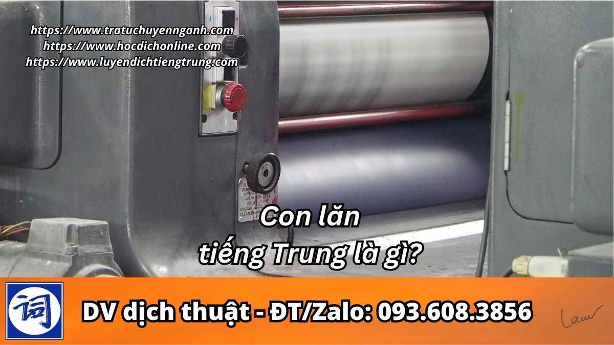 Con lăn tiếng Trung là gì?