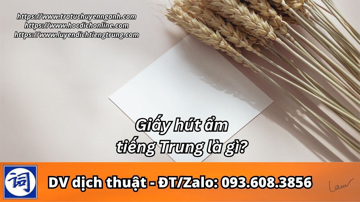Giấy hút ẩm tiếng Trung là gì?