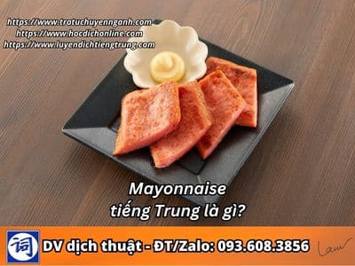 Mayonaise tiếng Trung là gì?