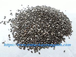 Hạt chia tiếng Trung là gì?