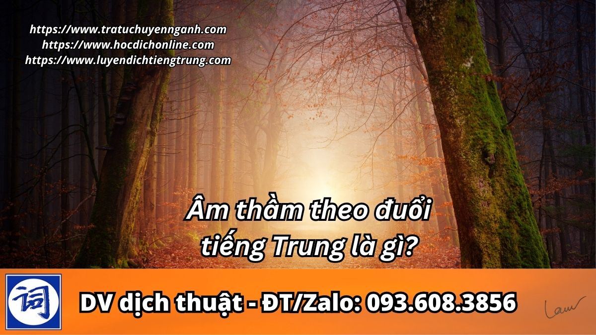 Âm thầm theo đuổi tiếng Trung là gì? 1 Âm thầm theo đuổi tiếng Trung là gì?