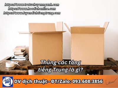 Thùng các tông tiếng Trung là gì?