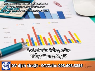 Lợi nhuận hàng năm tiếng Trung là gì?