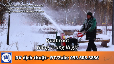 Quạt root tiếng Trung là gì?