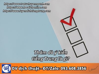 Thăm dò ý kiến tiếng Trung là gì?