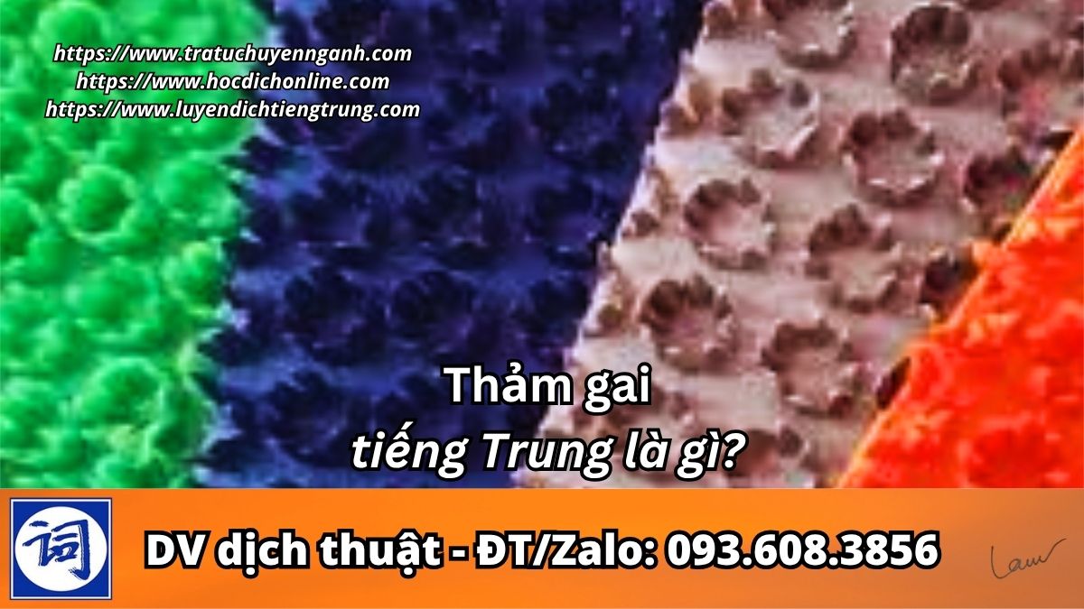 Thảm gai tiếng Trung là gì?