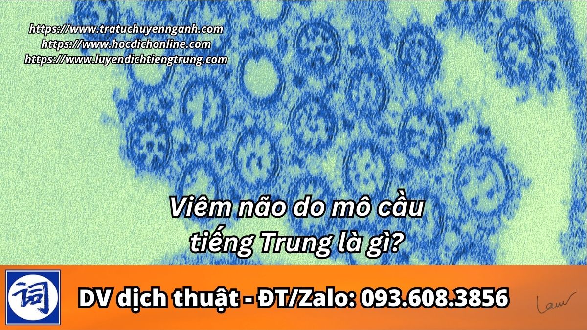 Viêm não do mô cầu tiếng Trung là gì?