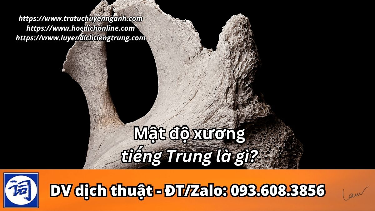 Mật độ xương tiếng Trung là gì?