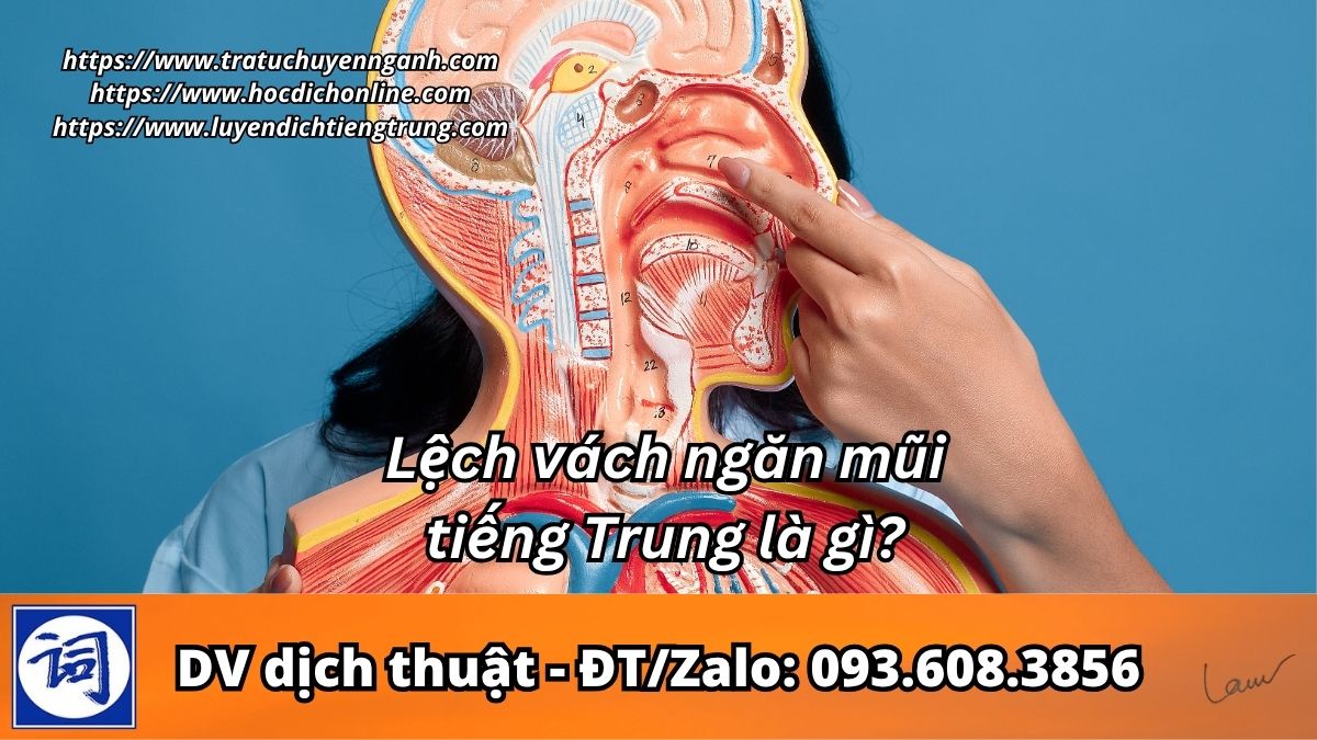 Lệch vách ngăn mũi tiếng Trung là gì?