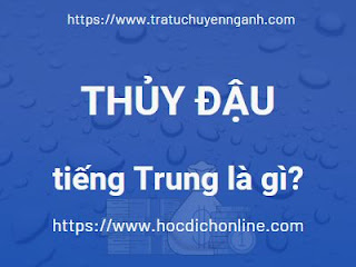 Thủy đậu tiếng Trung là gì? 1 Thủy đậu tiếng Trung là gì?