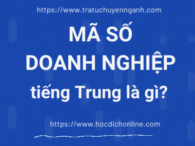 Mã số doanh nghiệp tiếng Trung là gì?