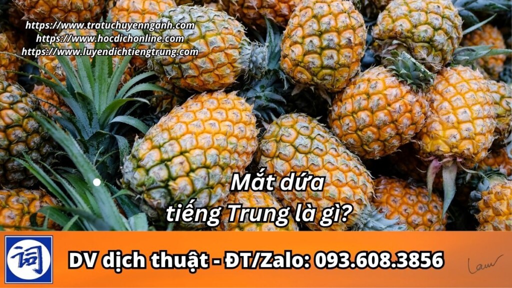 Mắt dứa tiếng Trung là gì?