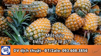 Mắt dứa tiếng Trung là gì?
