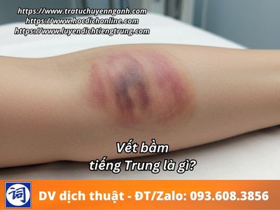 Vết bầm tiếng Trung là gì? 4 Vết bầm tiếng Trung là gì?