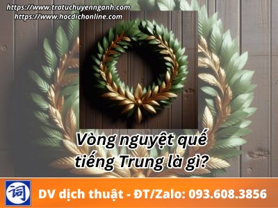 Vòng nguyệt quế 1 vong nguyet que