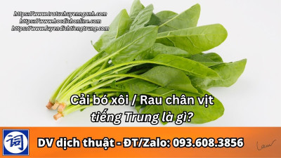 Cải bó xôi tiếng Trung là gì?