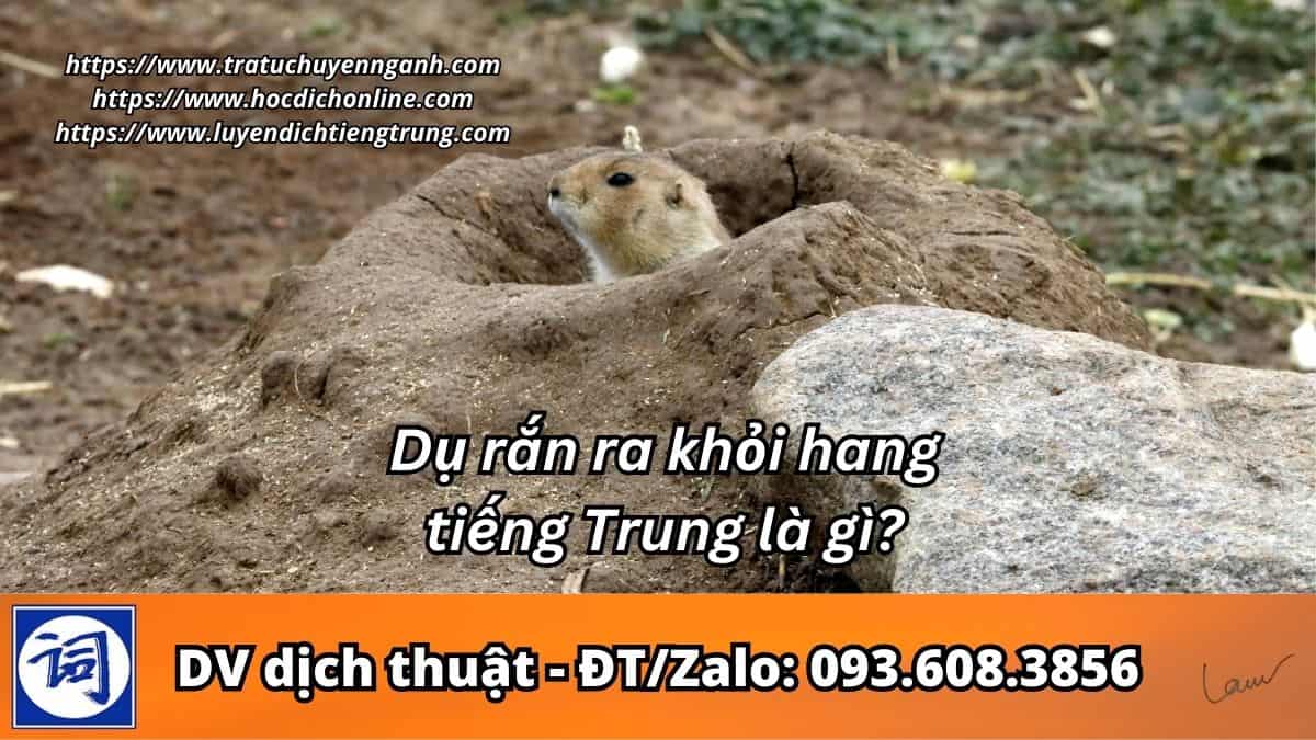 Dụ rắn ra khỏi hang tiếng Trung là gì?