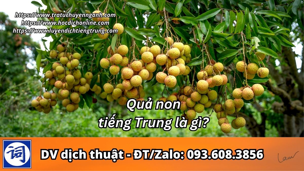 Quả non tiếng Trung là gì?