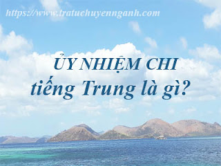 uynhiemchi