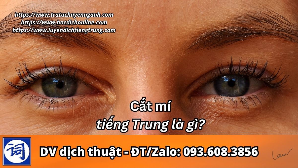Cắt mí tiếng Trung là gì?