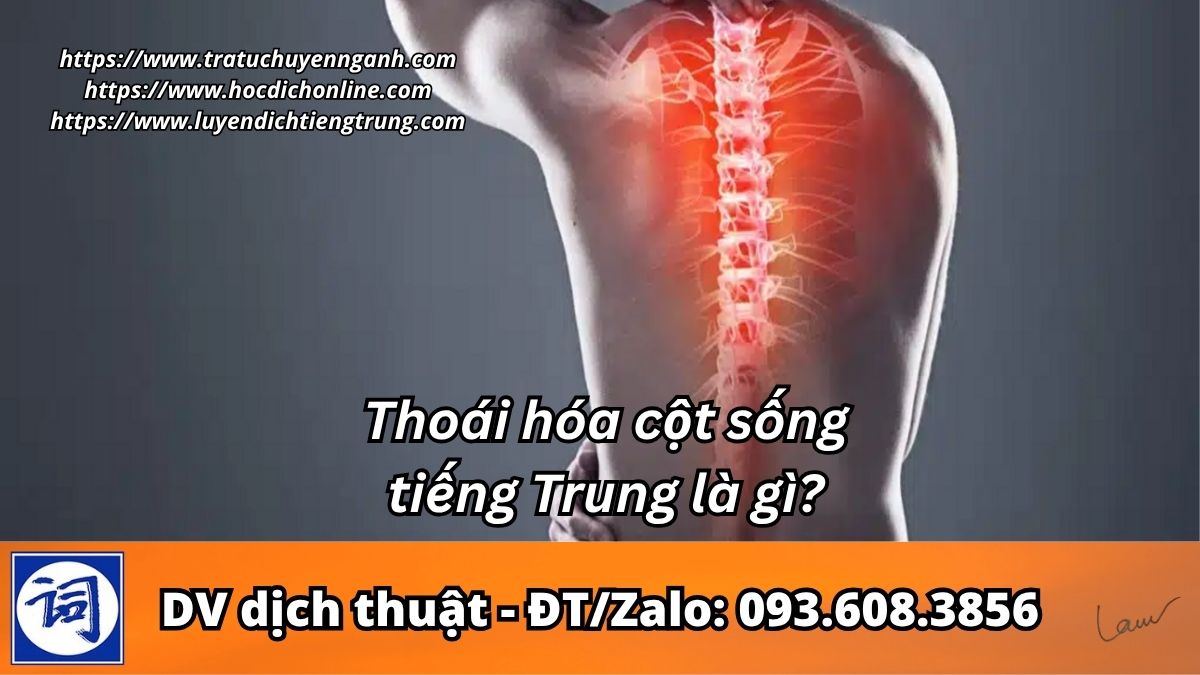 Thoái hóa cột sống tiếng Trung là gì? 11 Thoái hóa cột sống tiếng Trung là gì?