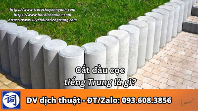 Cắt đầu cọc tiếng Trung là gì?