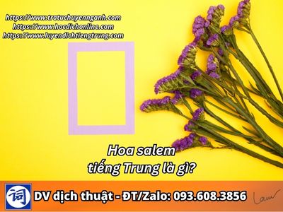 Hoa salem tiếng Trung là gì?