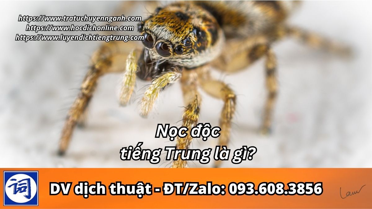 Nọc độc tiếng Trung là gì?