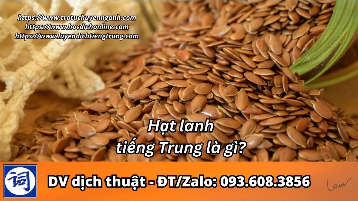 Hạt lanh tiếng Trung là gì?