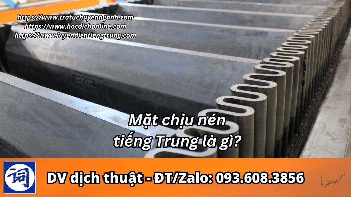 Mặt chịu nén tiếng Trung là gì?
