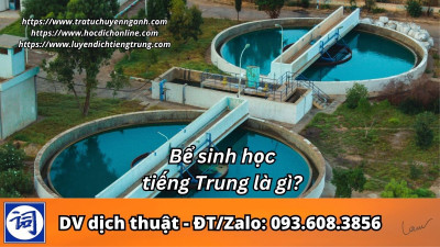Bể sinh học tiếng Trung là gì?