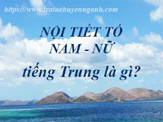Nội tiết tố nam-nữ tiếng Trung là gì? 6 Nội tiết tố tiếng Trung là gì?