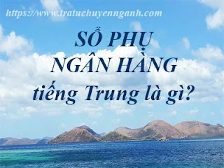 Sổ phụ ngân hàng tiếng Trung là gì?