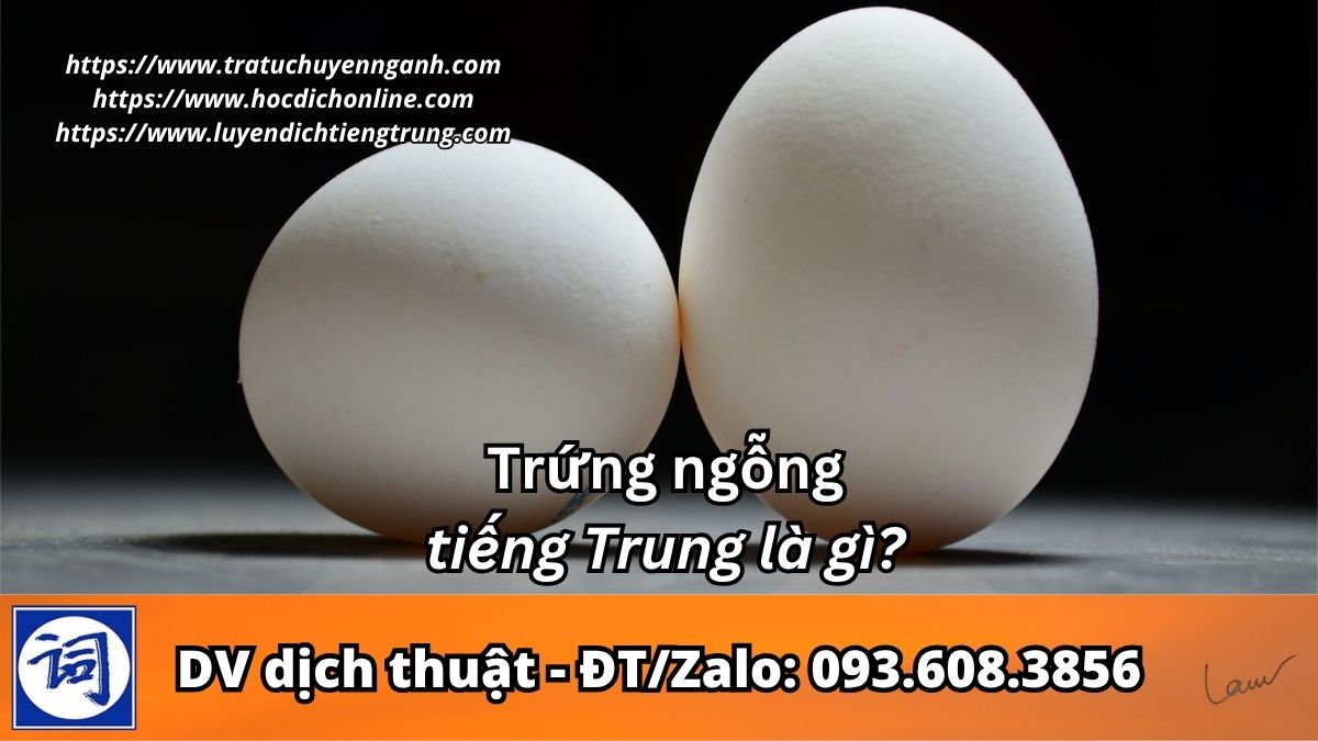 Trứng ngỗng tiếng Trung là gì? 1 Trứng ngỗng tiếng Trung là gì?