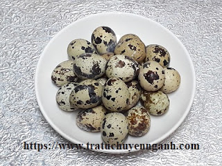 Trứng cút tiếng Trung là gì? 15 Trứng cút tiếng Trung là gì?