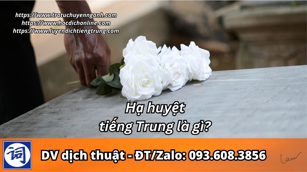 Hạ huyệt tiếng Trung là gì?