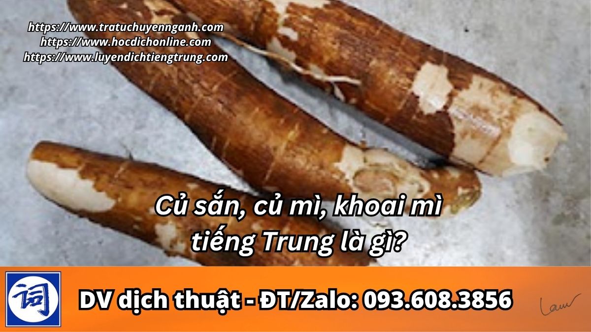 Củ sắn, củ mì, khoai mì tiếng Trung là gì?