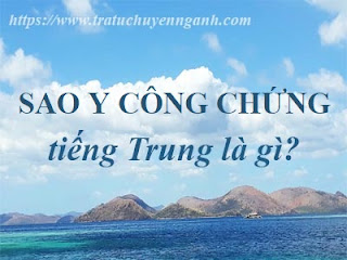 saoycongchung