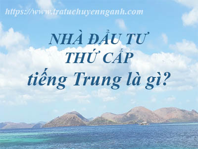 Nhà đầu tư thứ cấp tiếng Trung là gì? 3 Nhà đầu tư thứ cấp tiếng Trung là gì?